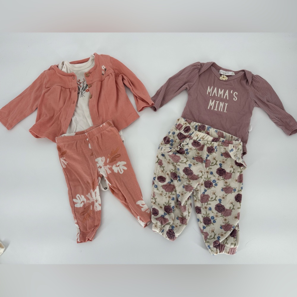 Baby Girl 3-6 Month Outfit Lot Flowers Spring Pink Purple Tahari Carters Infant